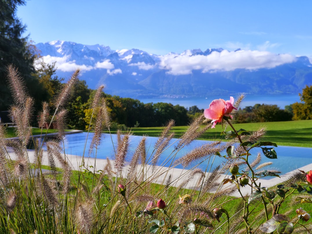 architecte paysagiste suisse